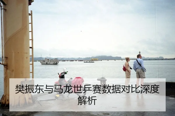 樊振东与马龙世乒赛数据对比深度解析